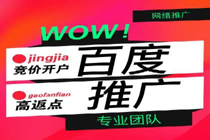 信息流广告推广成功案例深度剖析
